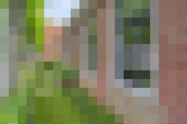 De Havens 1 Boazum thumbnail 73