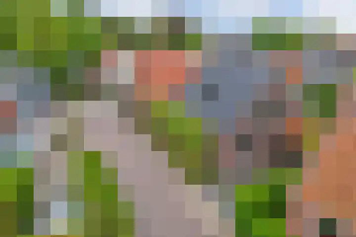 De Havens 1 Boazum thumbnail 74