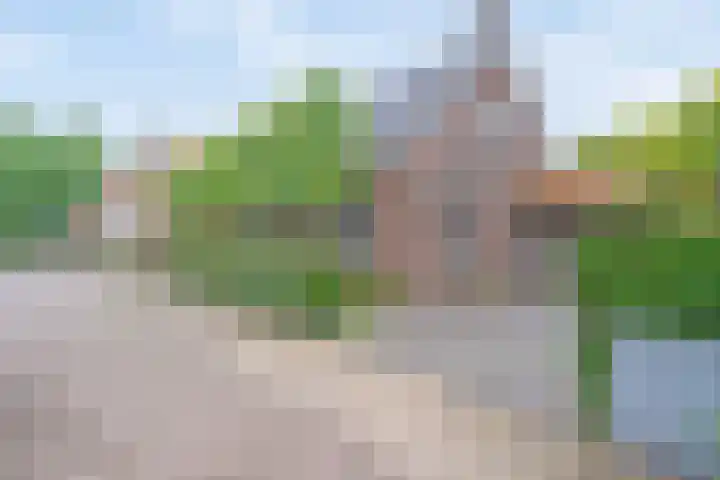 De Havens 1 Boazum thumbnail 76