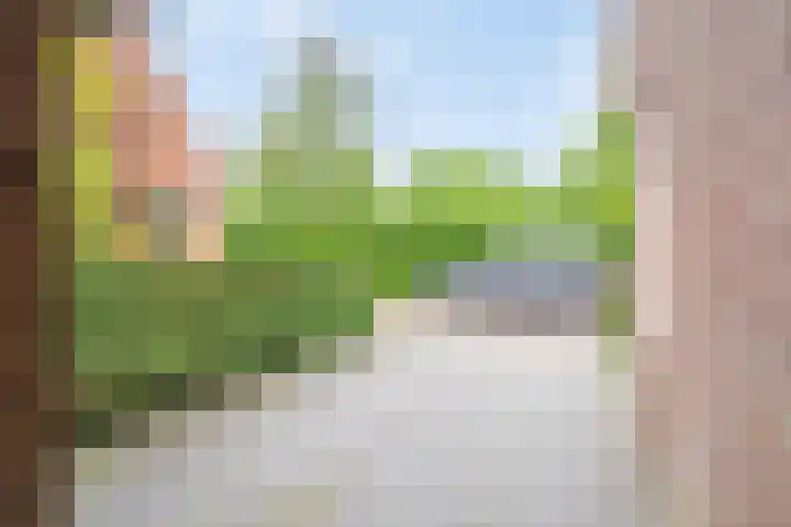 De Havens 1 Boazum thumbnail 77