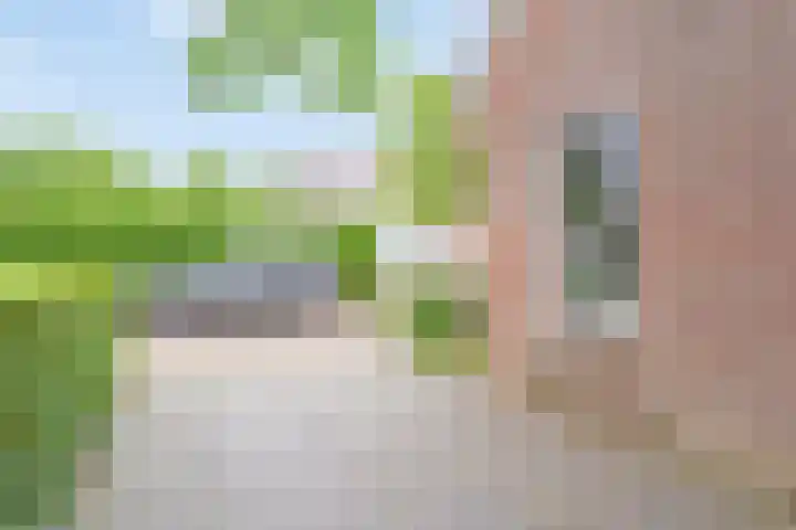 De Havens 1 Boazum thumbnail 78