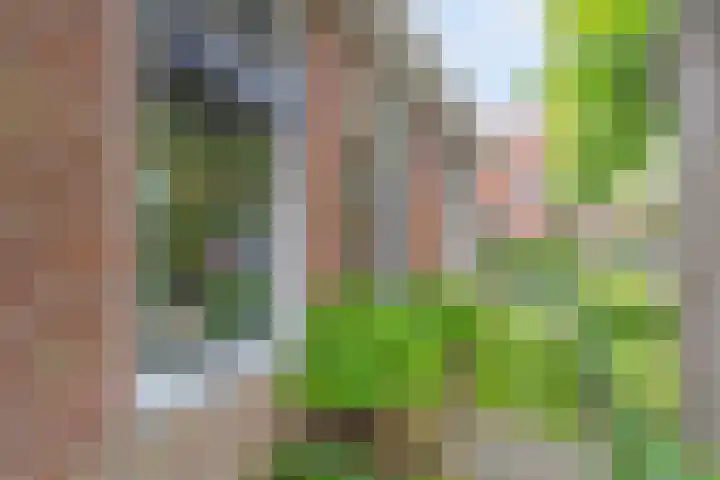 De Havens 1 Boazum thumbnail 8
