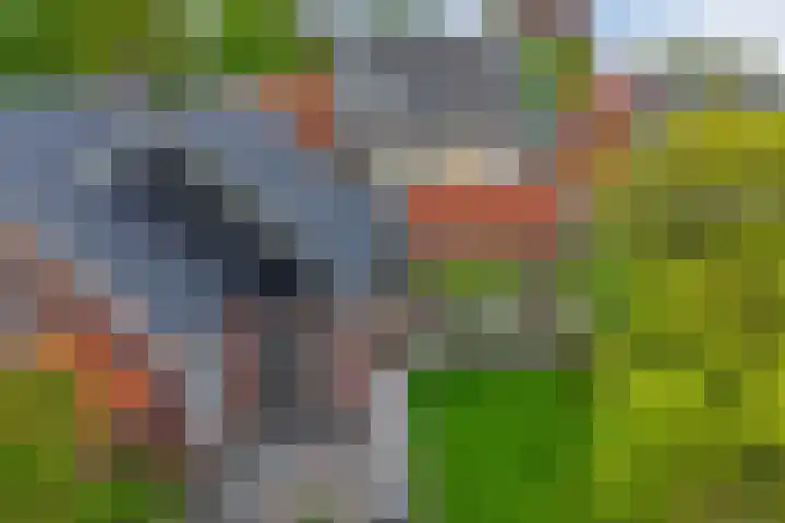 De Havens 1 Boazum thumbnail 80