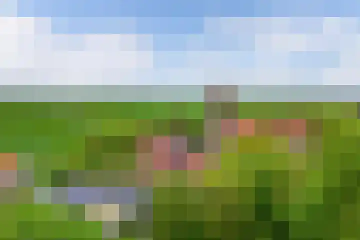 De Havens 1 Boazum thumbnail 81