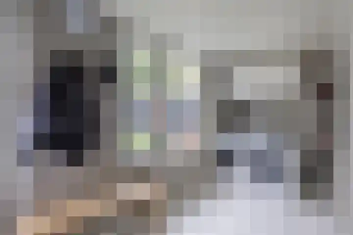 De Haver 15 Heesch thumbnail 13