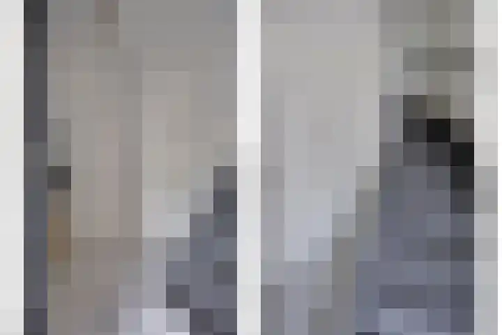 De Haver 15 Heesch thumbnail 14
