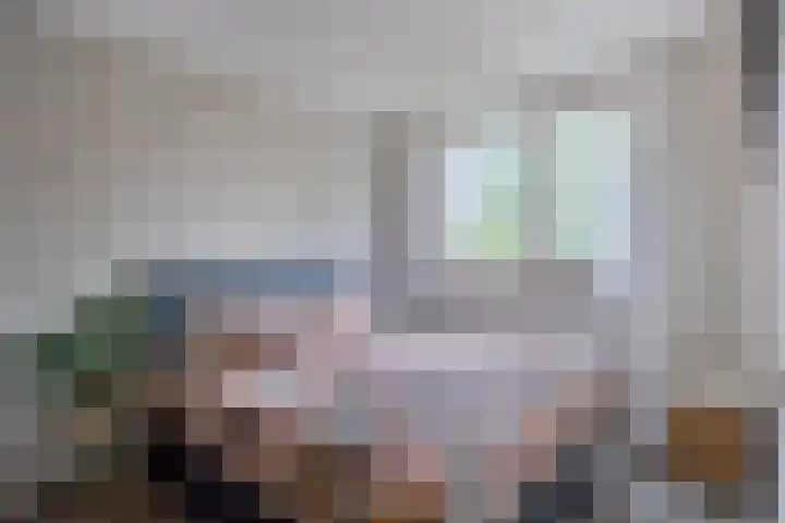 De Haver 15 Heesch thumbnail 16