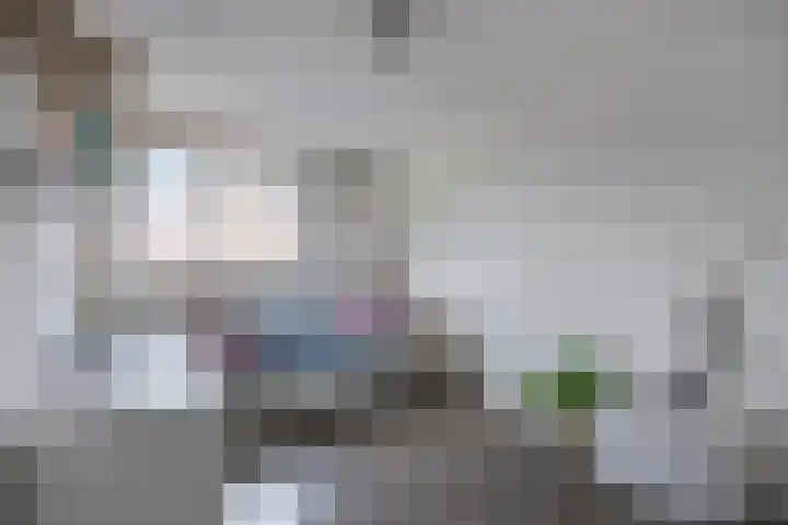 De Haver 15 Heesch thumbnail 17