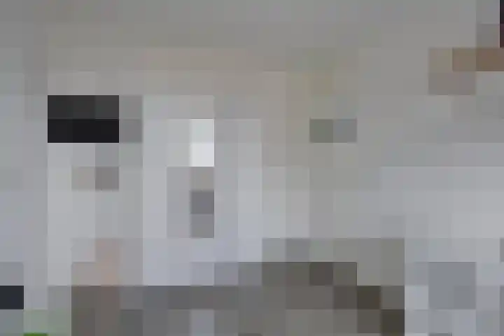 De Haver 15 Heesch thumbnail 18