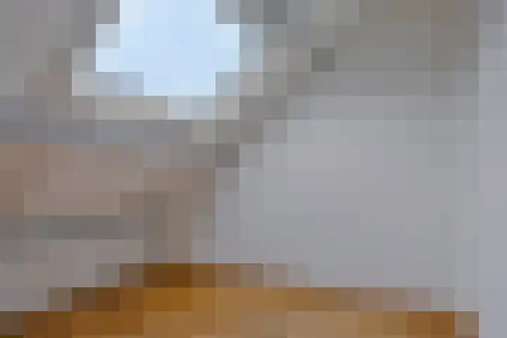 De Haver 15 Heesch thumbnail 25