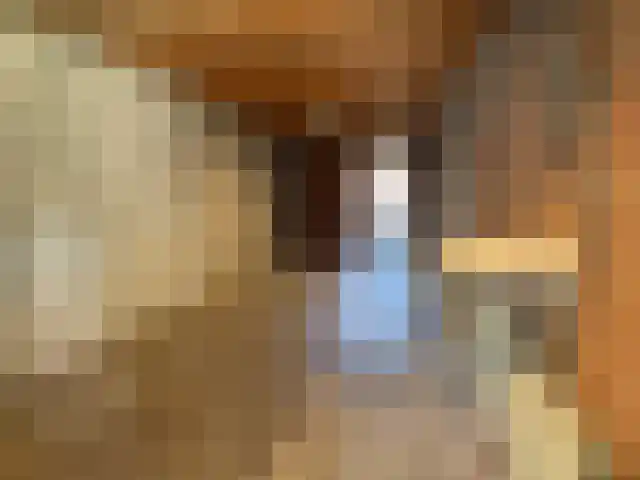 De Haver 15 Heesch thumbnail 34