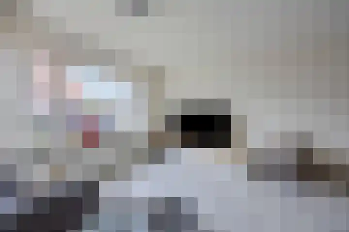 De Haver 15 Heesch thumbnail 6