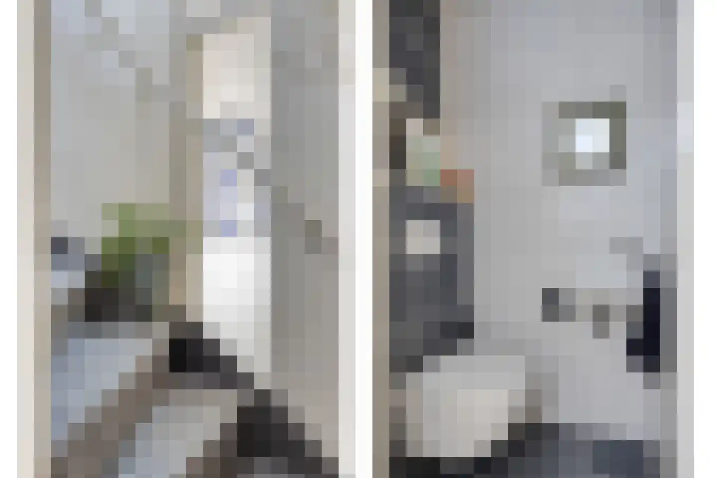 De Haver 9 Heesch thumbnail 12