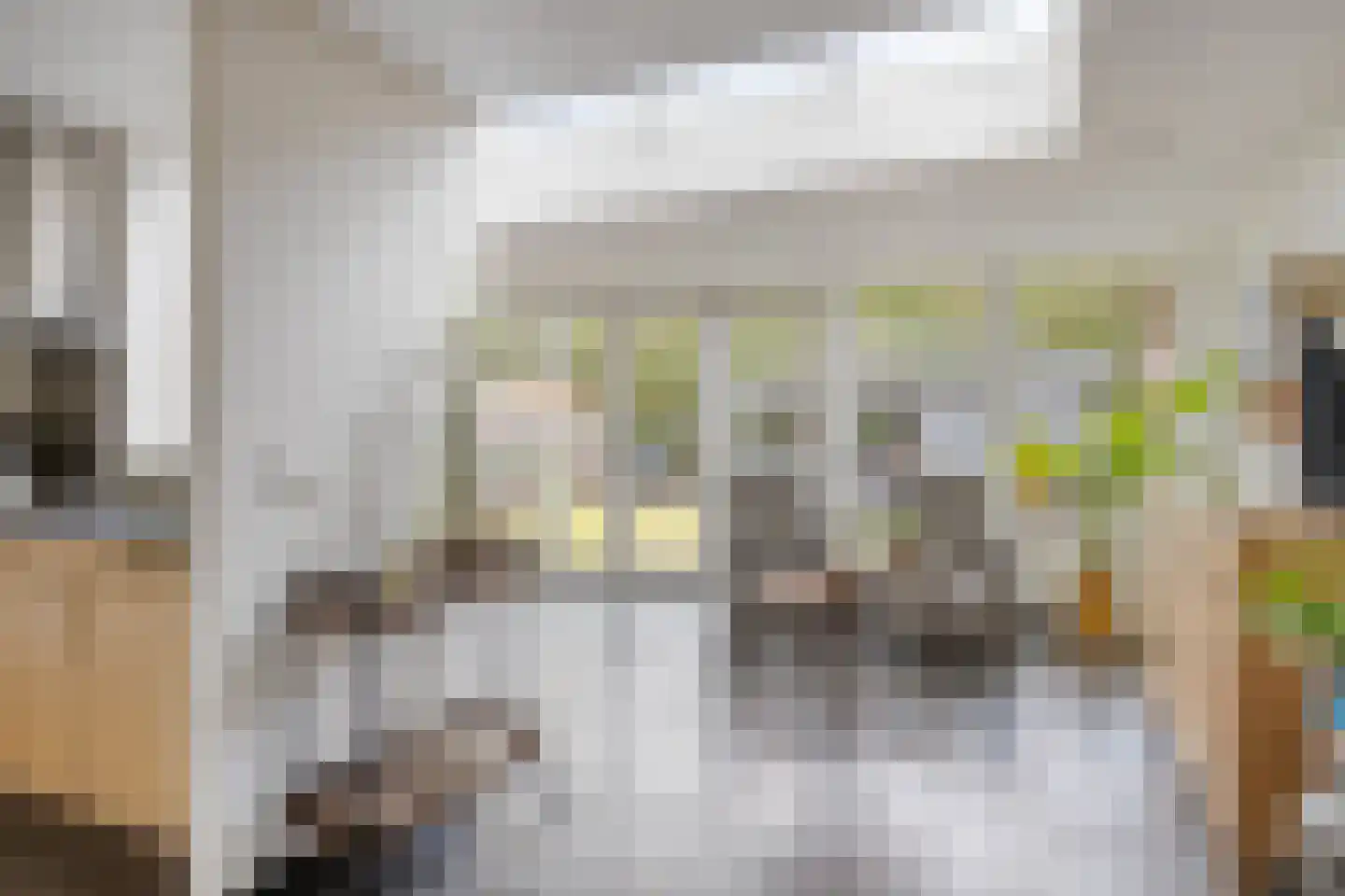 De Haver 9 Heesch thumbnail 18