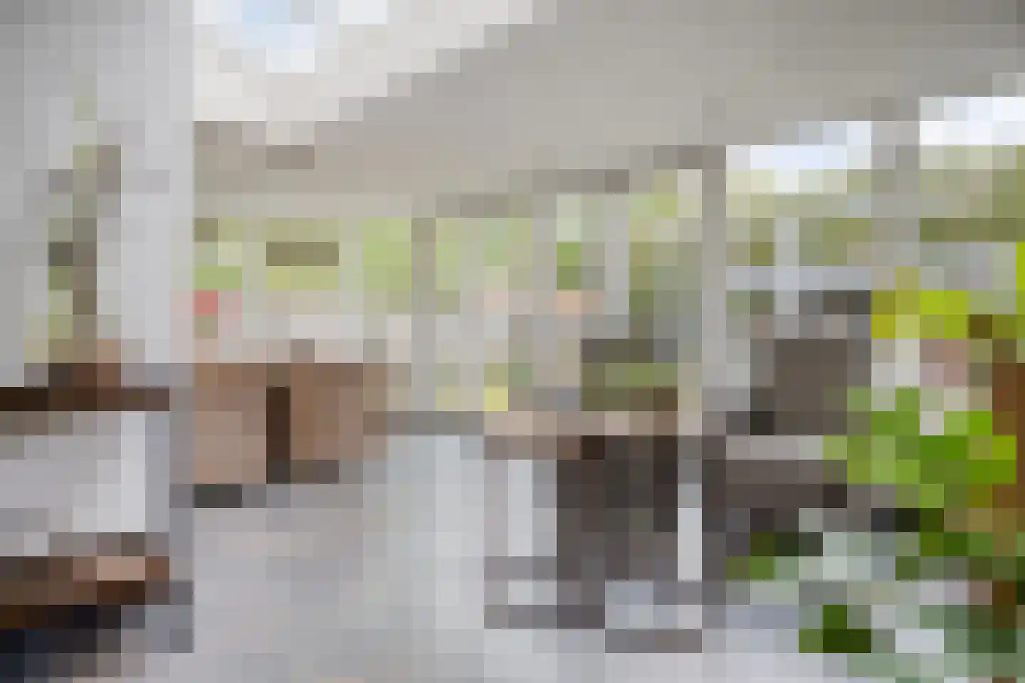 De Haver 9 Heesch thumbnail 19