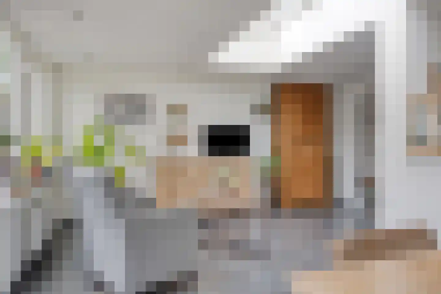 De Haver 9 Heesch thumbnail 20