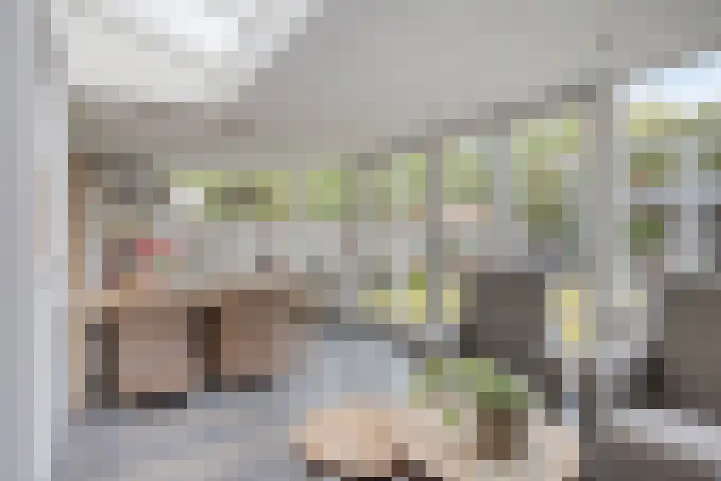 De Haver 9 Heesch thumbnail 21