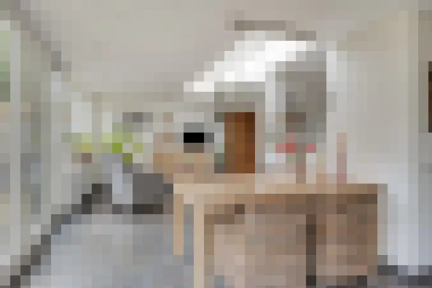 De Haver 9 Heesch thumbnail 22