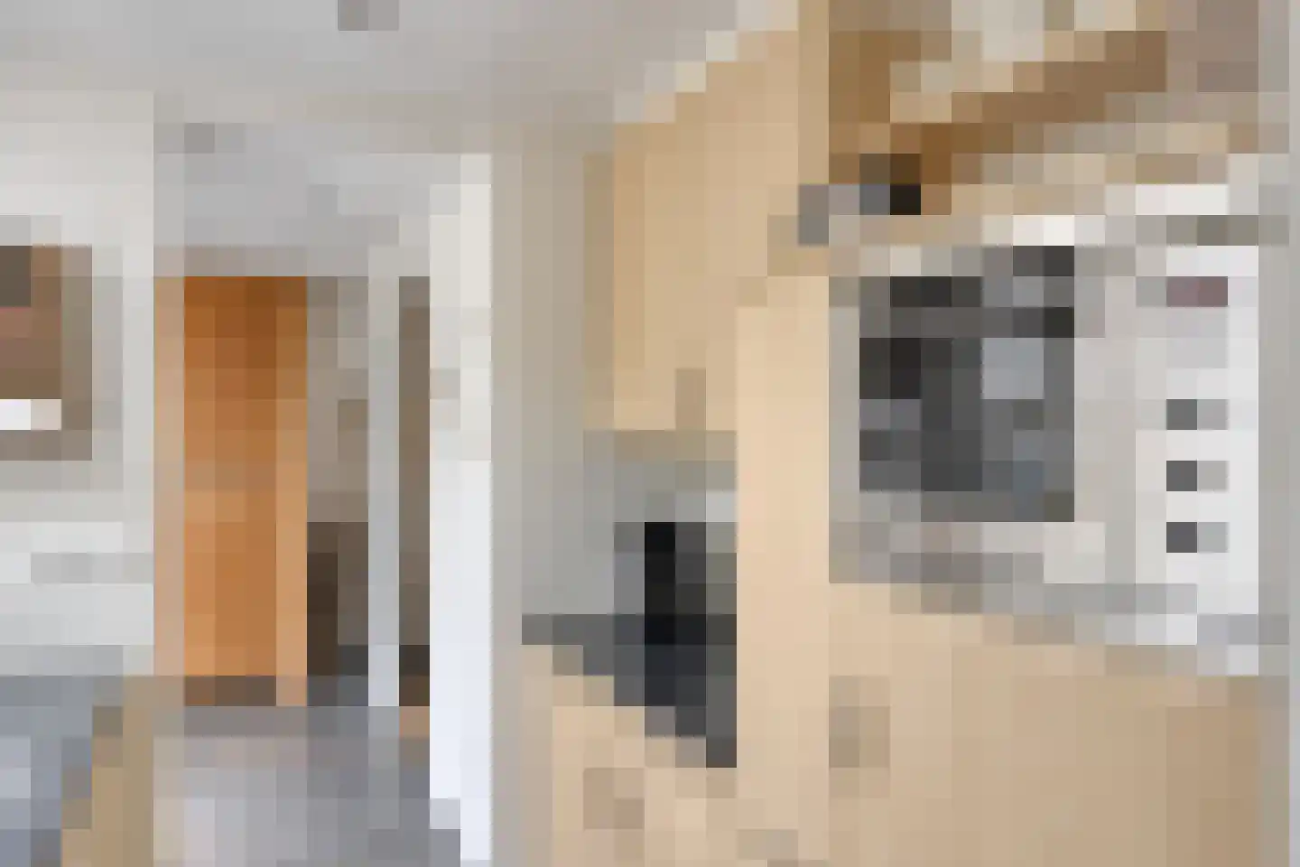 De Haver 9 Heesch thumbnail 24