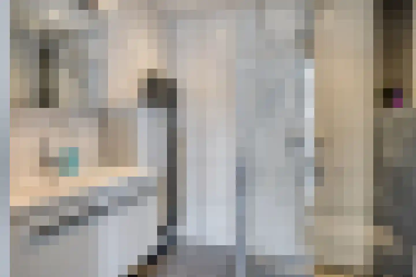 De Haver 9 Heesch thumbnail 33