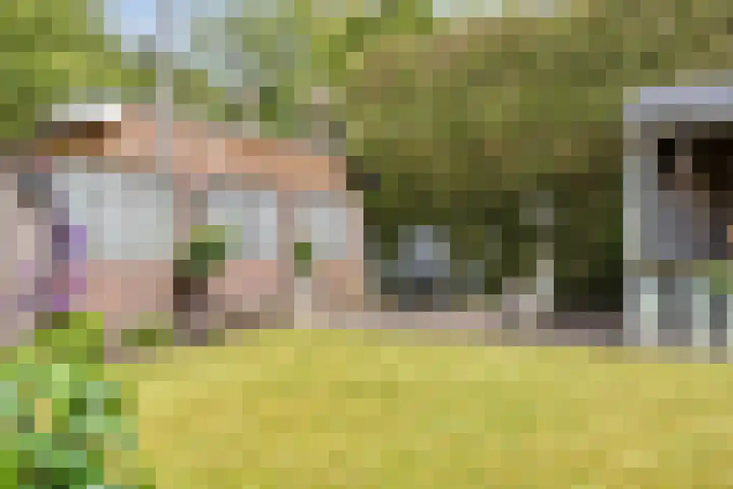 De Haver 9 Heesch thumbnail 42