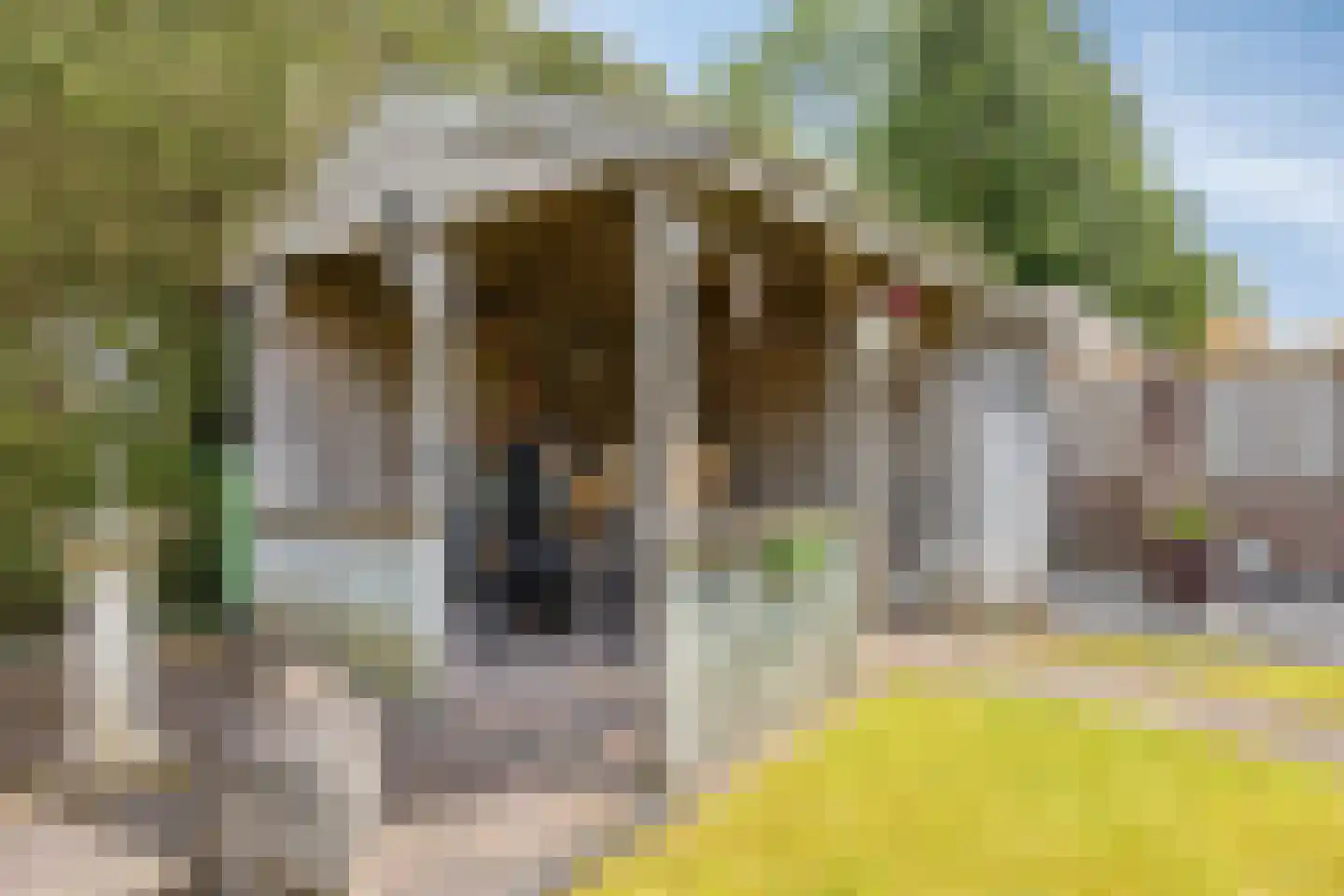 De Haver 9 Heesch thumbnail 43