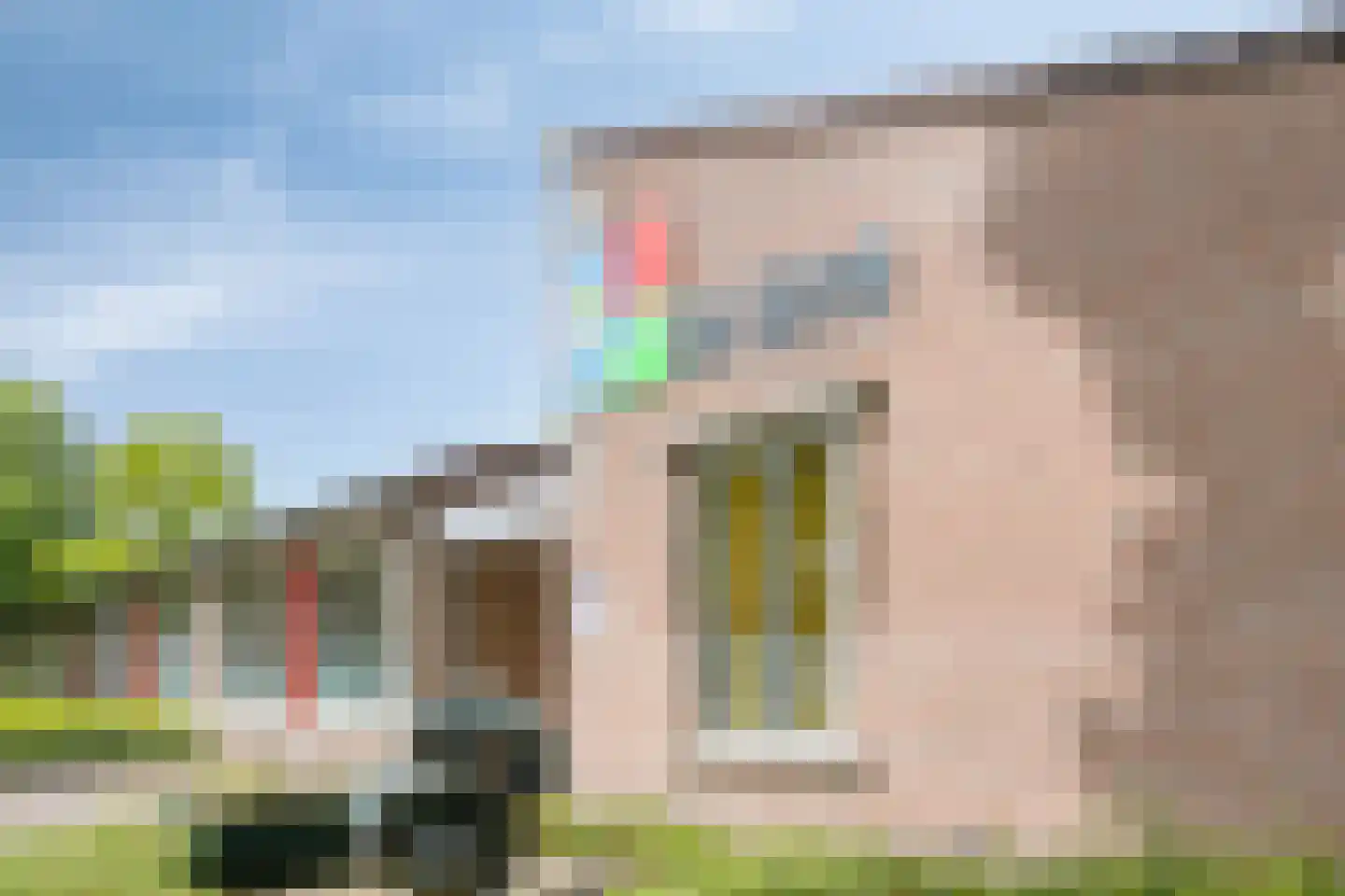 De Haver 9 Heesch thumbnail 47