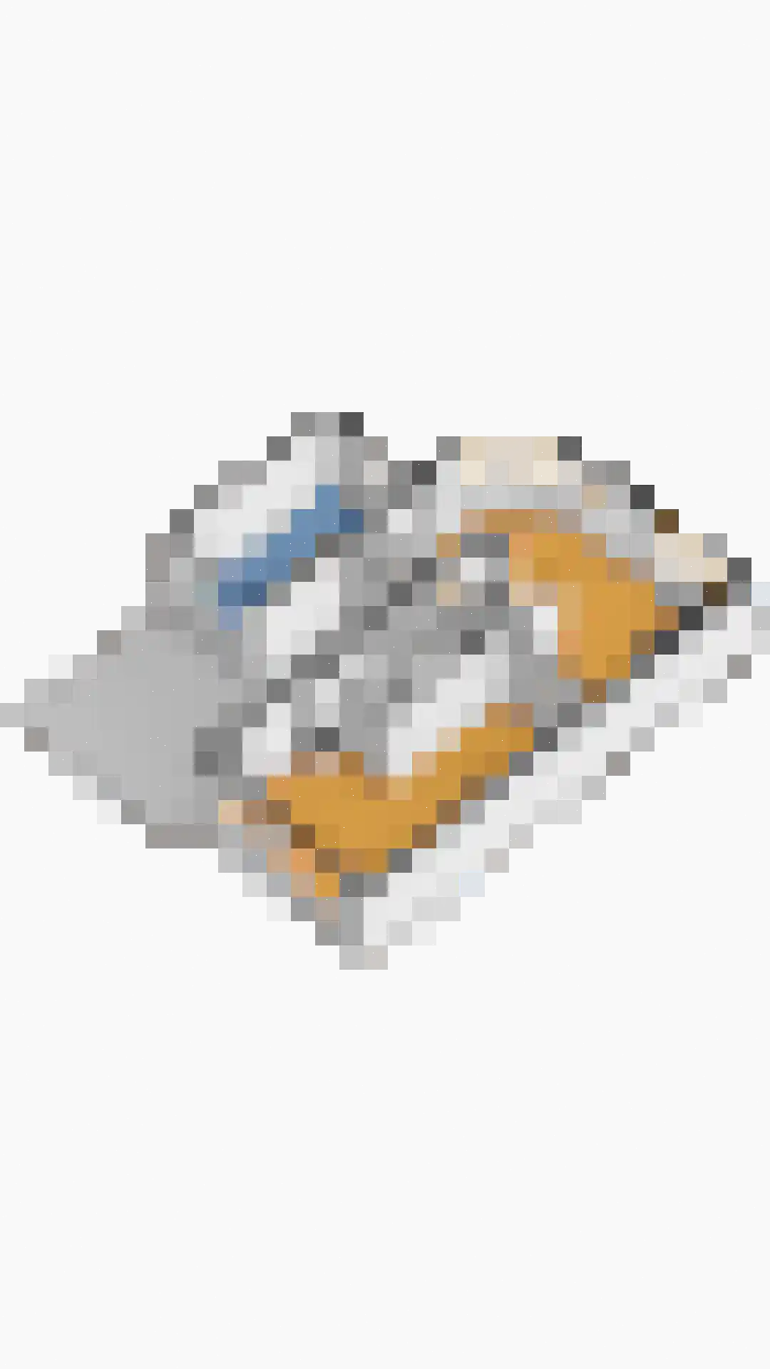De Haver 9 Heesch thumbnail 53