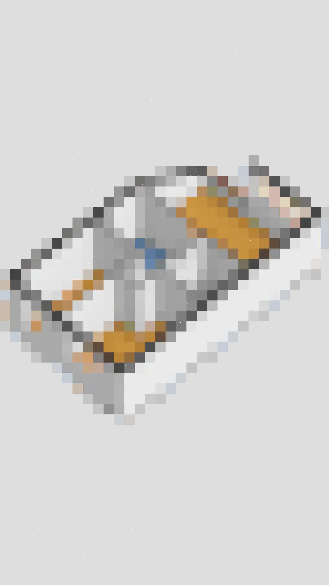 De Haver 9 Heesch thumbnail 54
