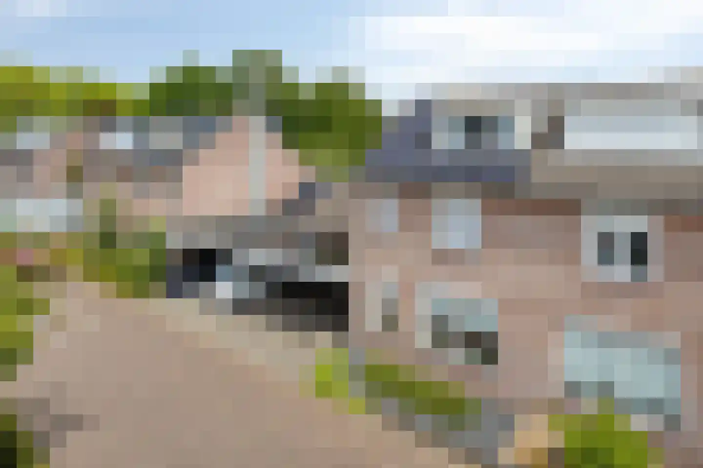 De Haver 9 Heesch thumbnail 9