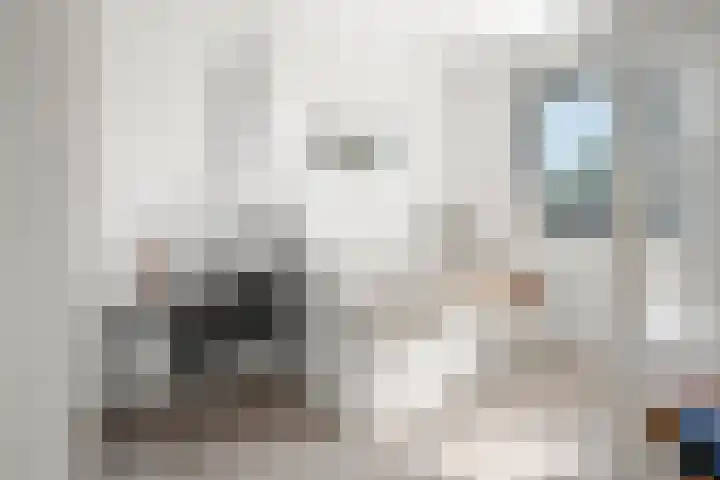 De Haverkamp 14 Lunteren thumbnail 16