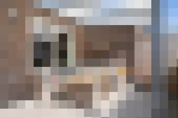 De Haverkamp 14 Lunteren thumbnail 32