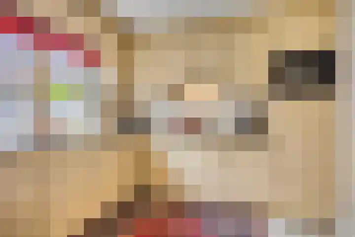 De Haverkamp 16 Reutum thumbnail 12