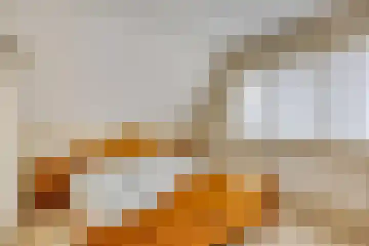 De Haverkamp 16 Reutum thumbnail 17