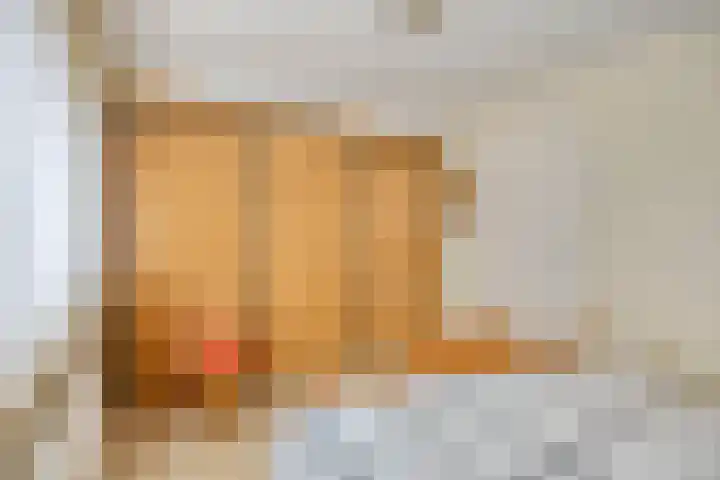 De Haverkamp 16 Reutum thumbnail 18