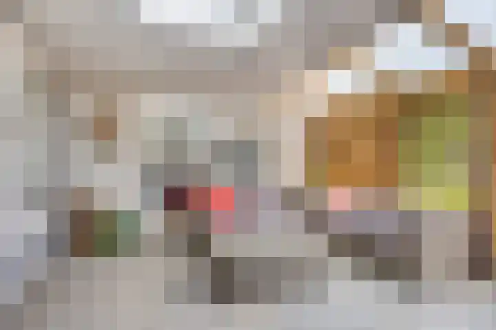 De Haverkamp 16 Reutum thumbnail 24