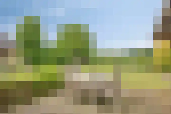 De Haverkamp 16 Reutum thumbnail 27