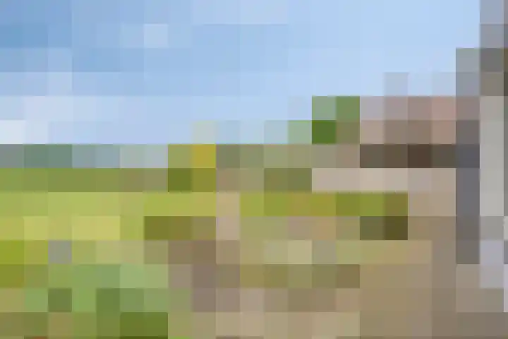De Haverkamp 16 Reutum thumbnail 28
