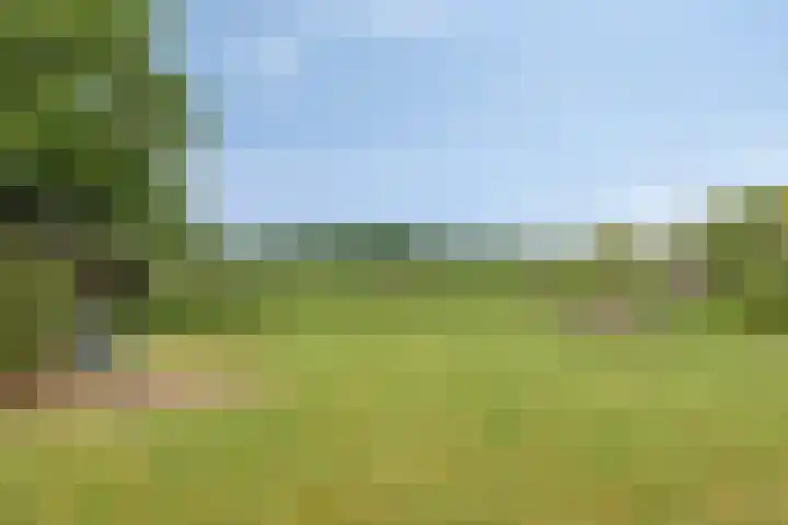 De Haverkamp 16 Reutum thumbnail 29