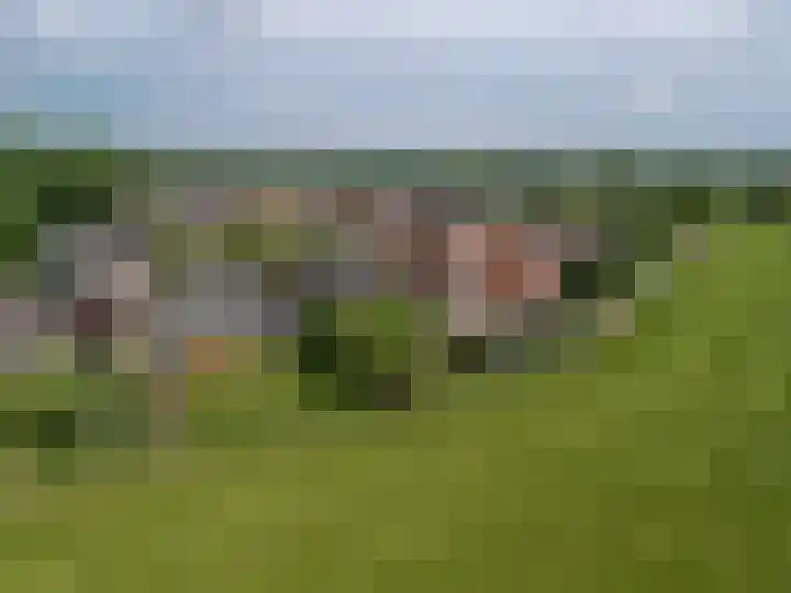 De Haverkamp 16 Reutum thumbnail 31