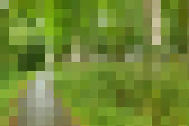 De Haverkamp 16 Reutum thumbnail 36