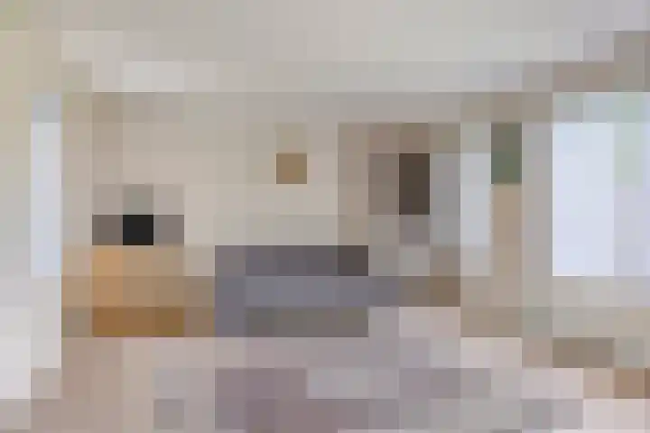 De Haverkamp 16 Reutum thumbnail 7