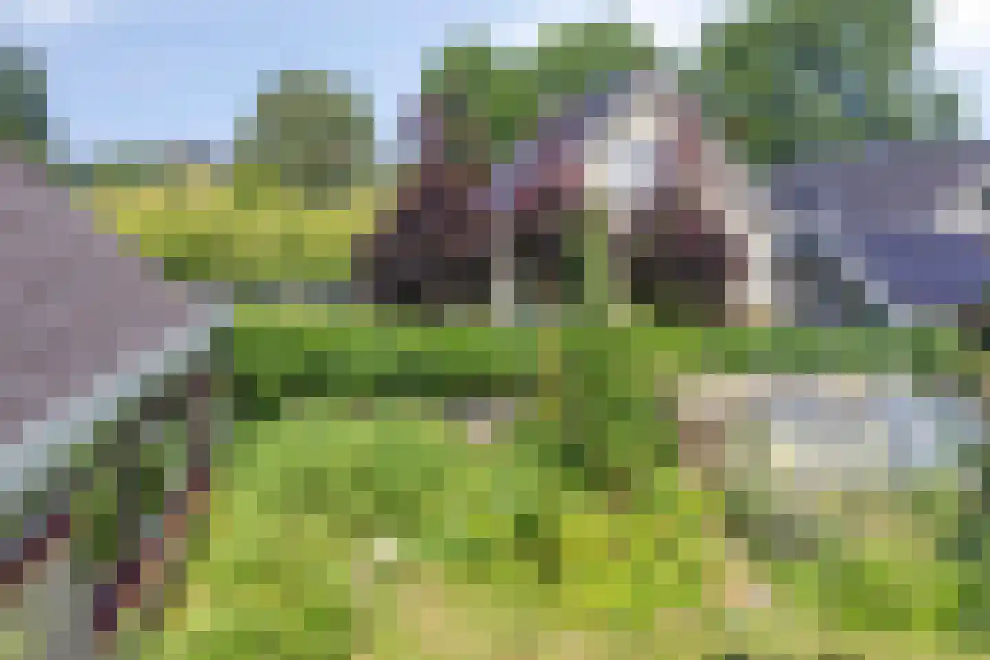 de Haverkamp 18 Heerde thumbnail 31