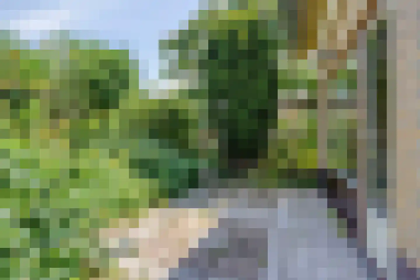 de Haverkamp 18 Heerde thumbnail 41