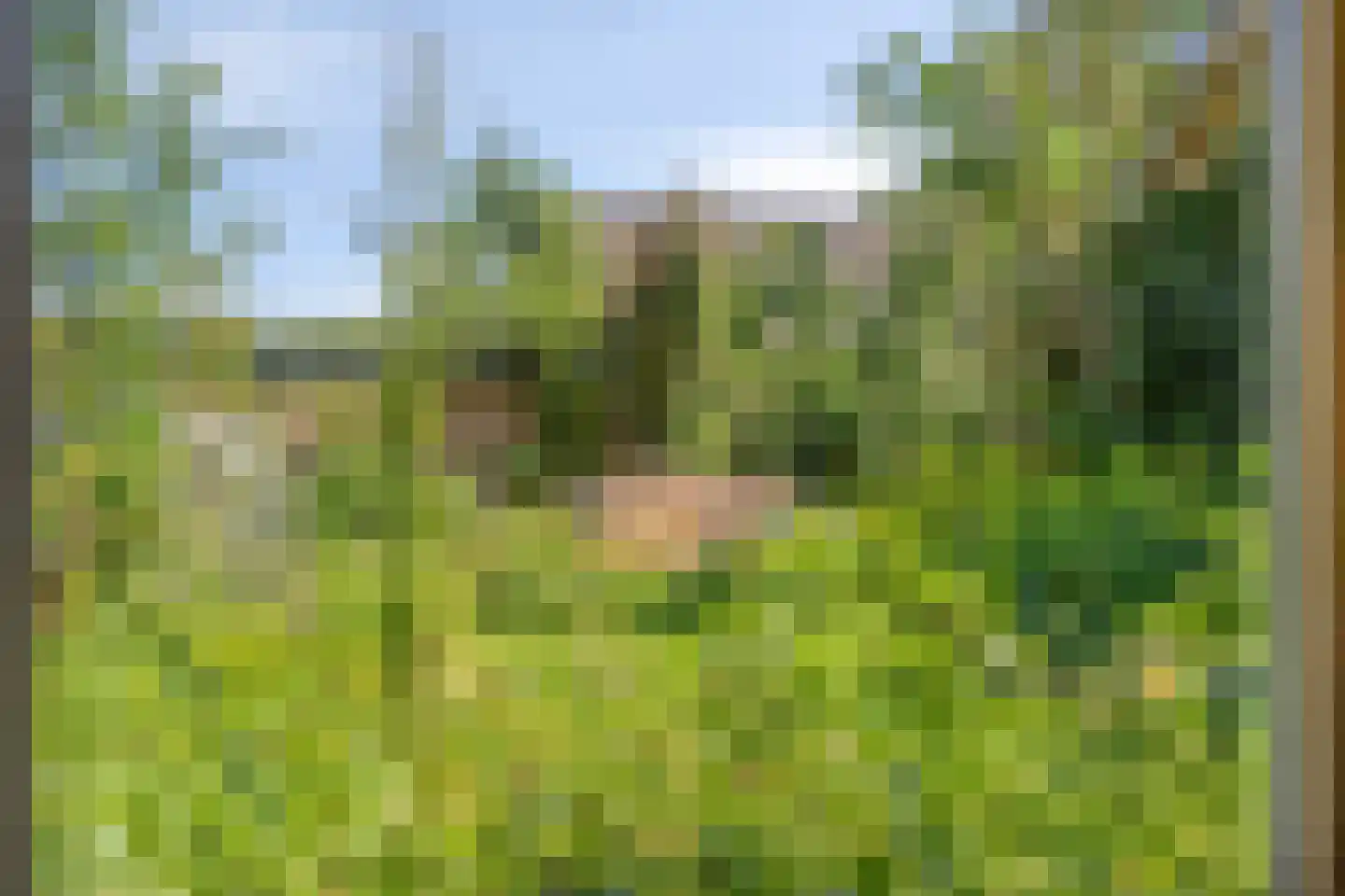 de Haverkamp 18 Heerde thumbnail 43
