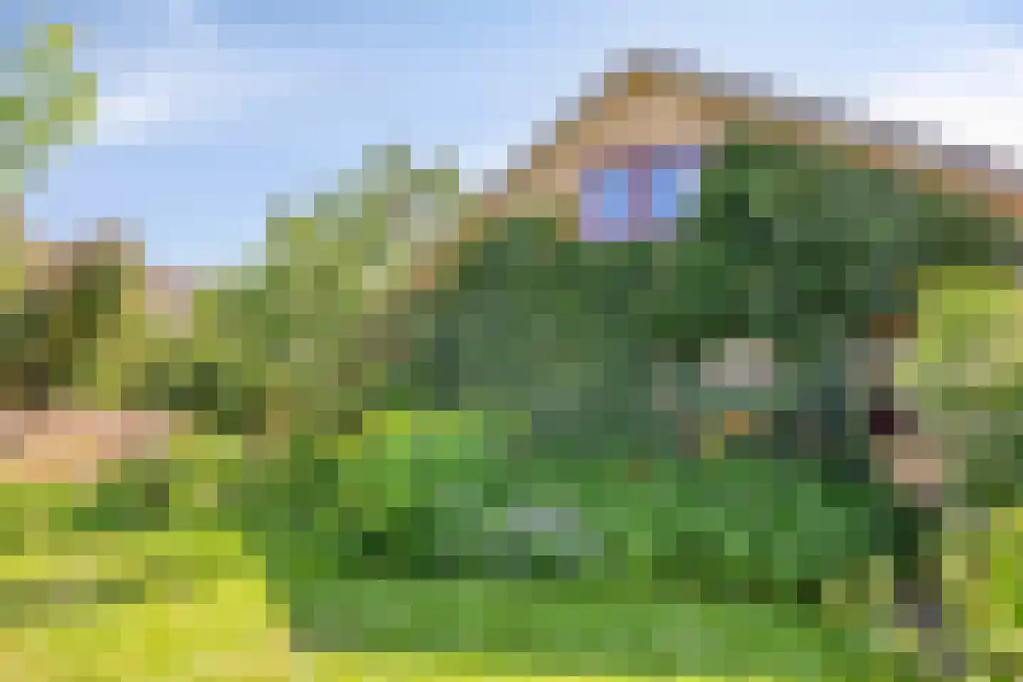 de Haverkamp 18 Heerde thumbnail 47