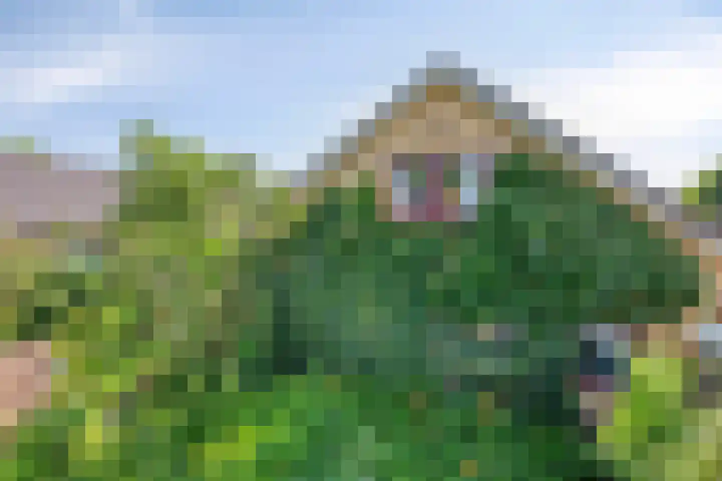 de Haverkamp 18 Heerde thumbnail 51