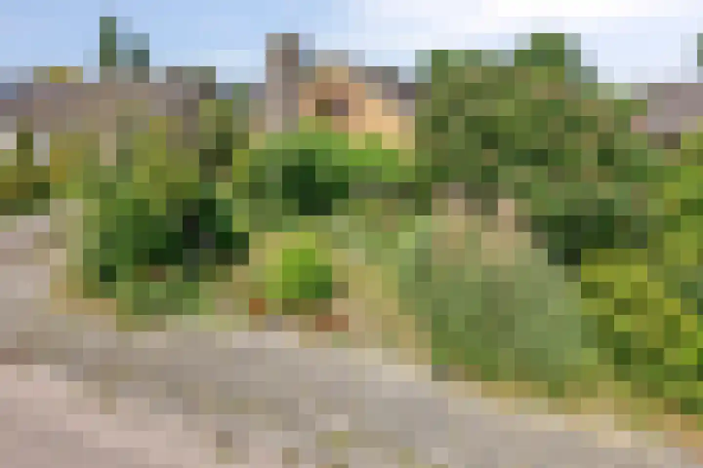 de Haverkamp 18 Heerde thumbnail 52