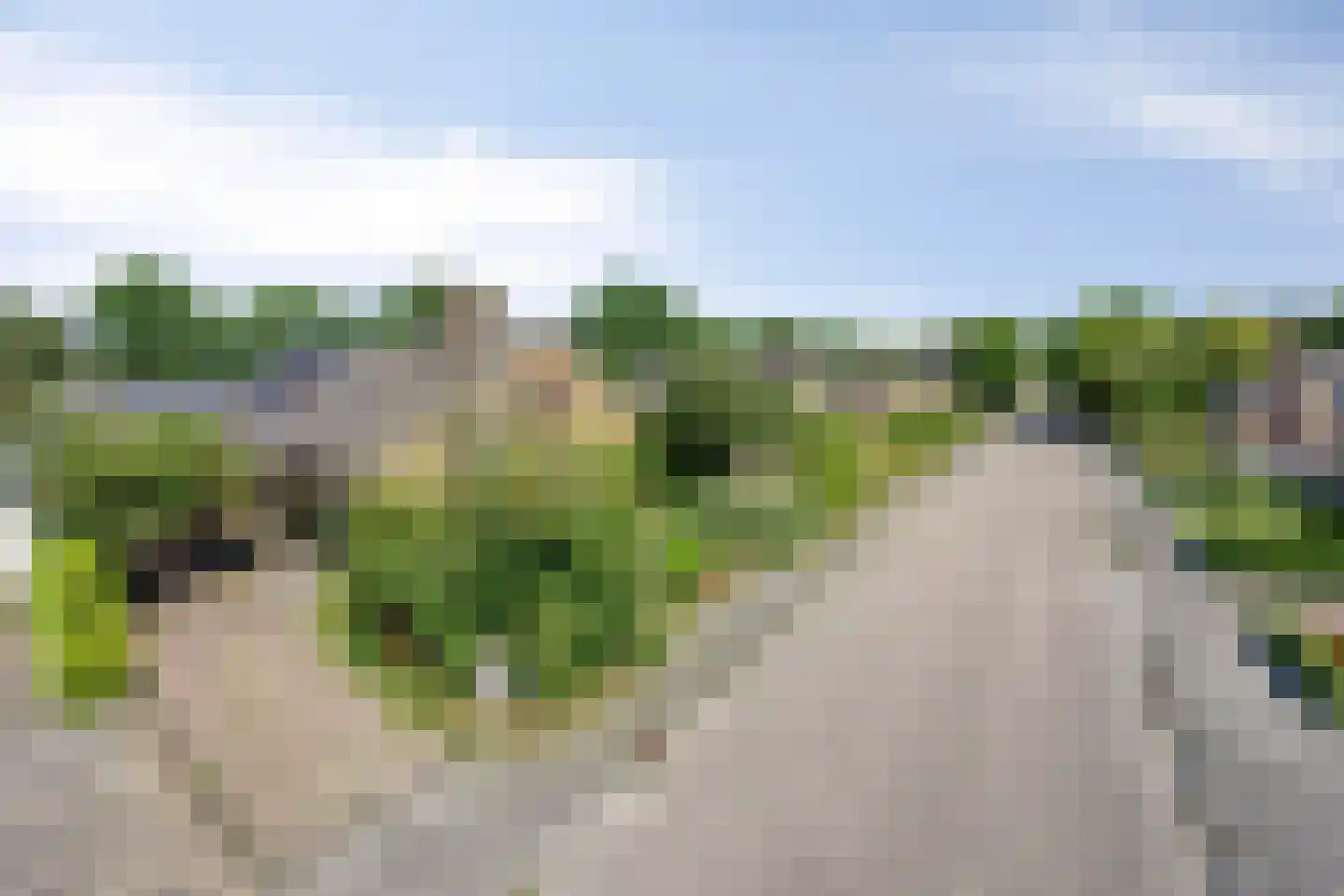 de Haverkamp 18 Heerde thumbnail 54