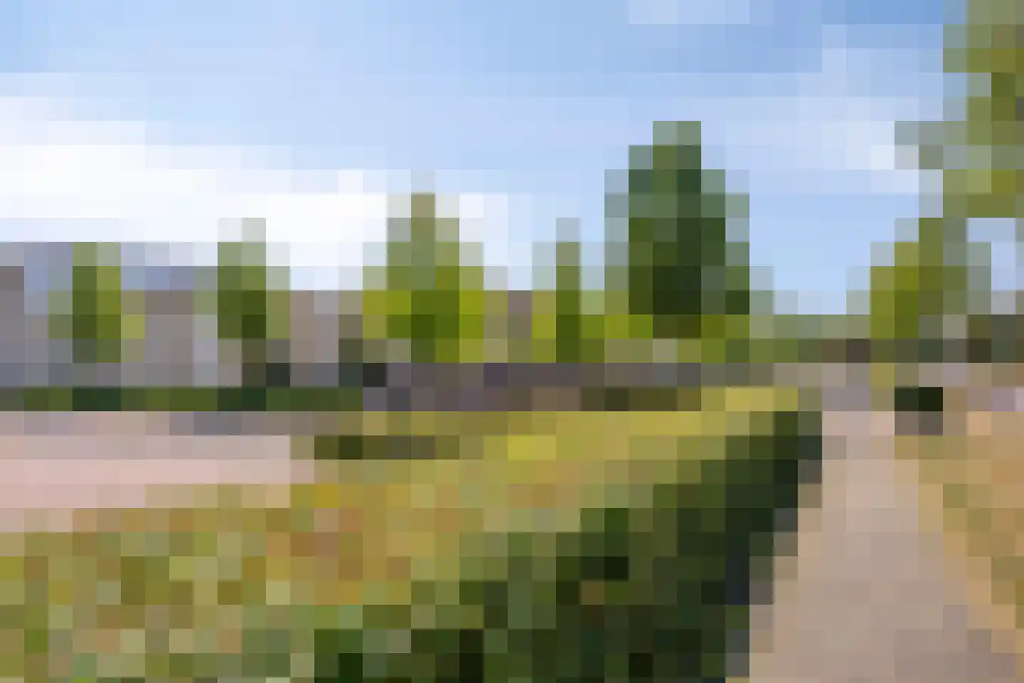 de Haverkamp 18 Heerde thumbnail 60